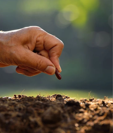 Gökhan Tarım Medya