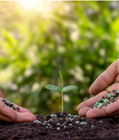 Gökhan Tarım Medya